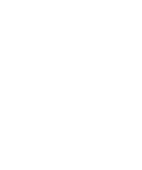which safety icon