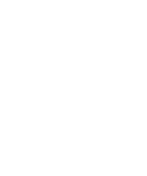 which safety icon